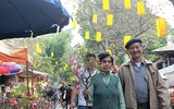 Hấp dẫn chợ hoa Hàng Lược ngày cận Tết